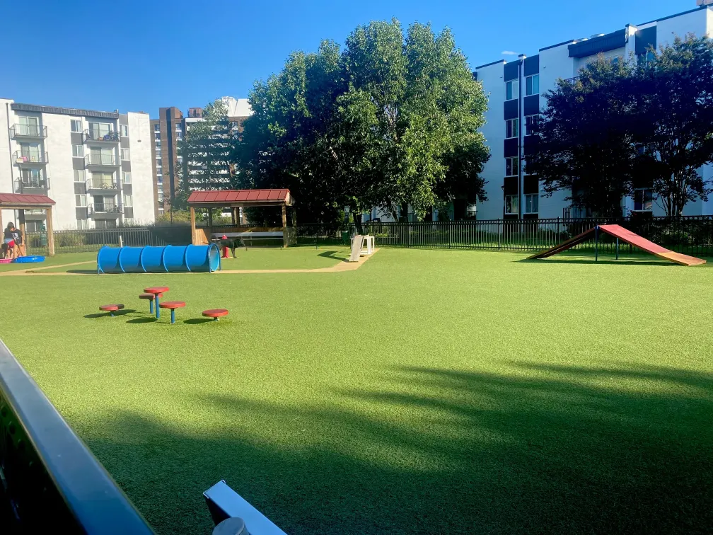 You are currently viewing Wiggley Field Dog Park: The Perfect Spot for Your Dog to Have Fun