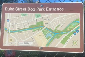 Duke St Dogs Park in Alexandria